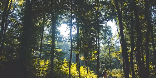 Naturexkursion \u2013 \u00abFaszination Landschaft\u00bb