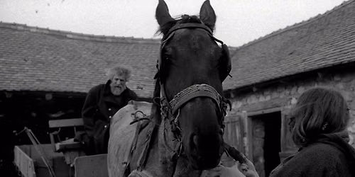 The Turin Horse