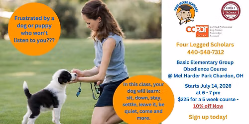 Elementary Obedience Group Dog Training in Chardon, OH (use code for 10% off)