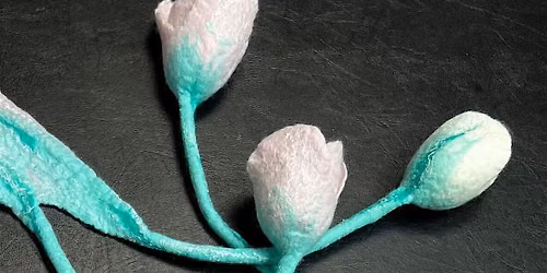 Tulips wetfelting class