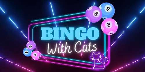 Bingo with Cats and Randy Wilde!