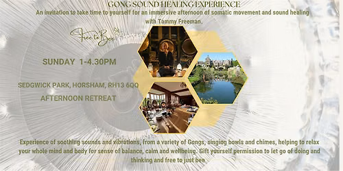 July Sedgwick Park Gong Sound Healing Experience with Tammy Freeman