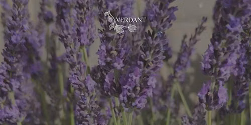 Litha: A Summer Solstice Retreat for Women