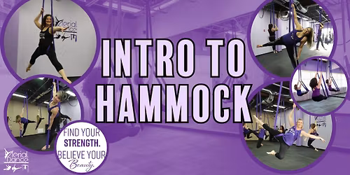 Intro to Hammock