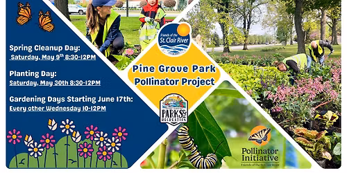 Pine Grove Park Pollinator Project- Planting Day!