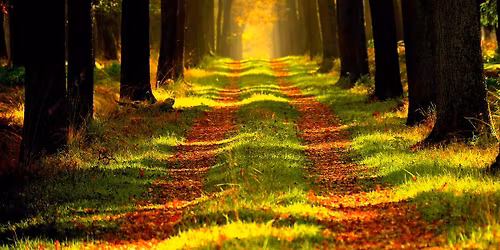 BL\u00cd\u017d K SOB\u011a - Community Building semin\u00e1\u0159