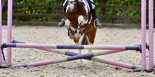 Bank Holiday Clear Round Show Jumping Day.