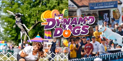 Dynamo Dogs at Harbes Family Farm