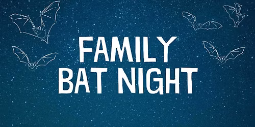 Family Bat Night (8yrs+)