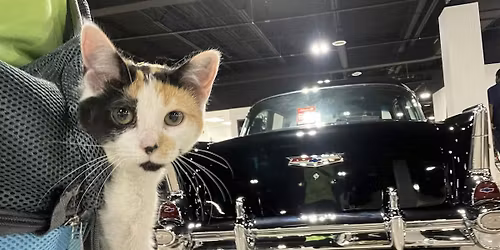 Gateway Classic Cars of Detroit July Off-Site Adoption Event