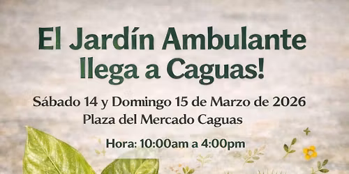 CAGUAS Venta Suculentas, Cactus, Carn\u00edvoras; Plantas de Interior, tierra, abonos y m\u00e1s