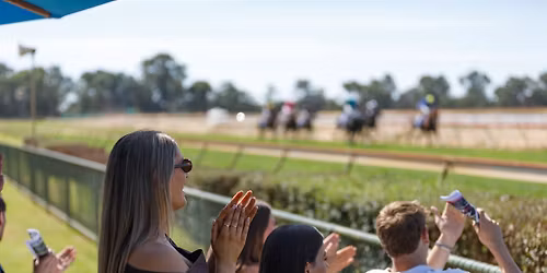 Party with the Ponies