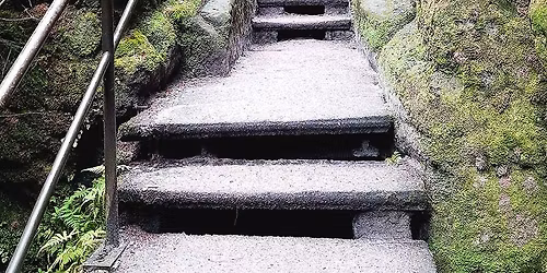 2026 Ultramarsch Dresden