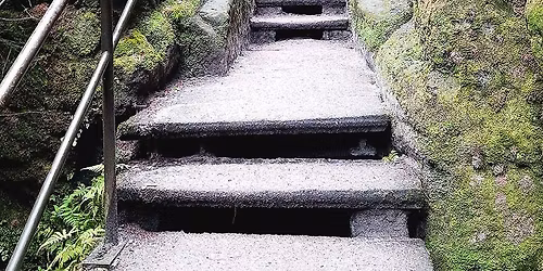 2026 Ultramarsch Dresden