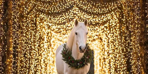 Country & Celtic Christmas Concert!