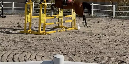 KM i hoppning 2026 & klubbhoppning