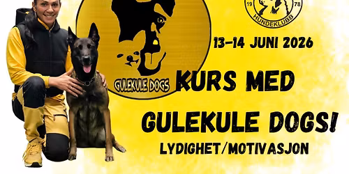 GULEKULE KURS