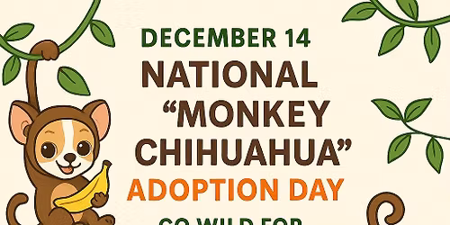 National Monkey Chihuahua Adoption Day