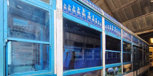 A Tram ride with stories of old Calcutta - Esplanade to Gariahat and back by AC Single Coach