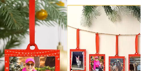 Holiday Photos With Horses - 2025 (Fundraiser)