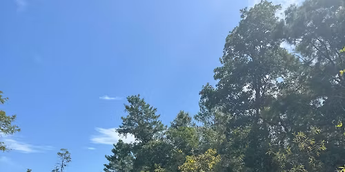 Weeki Wachee Springs Adventure