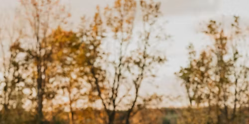 Emily & Shayne\u2019s Stag & Doe