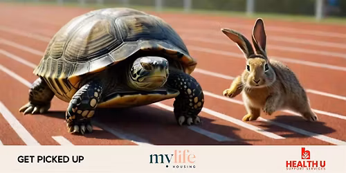 Bunny and Turtle Walk - NDIS Networking Event