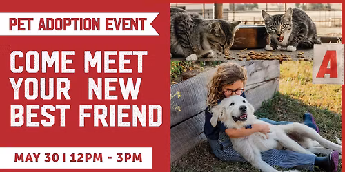 Pet Adoption Event at Atwoods