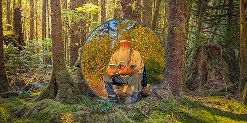 The History of Minnesota's Forests