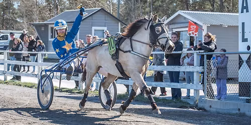 F\u00f6rsta heldagen ponnytrav 2026 Visbytravet