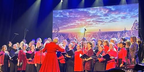 \u2728 Kor & Basar med Damekoret\ud83c\udf84\ud83d\udc60\u2728