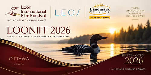 Loon International Film Festival 2026