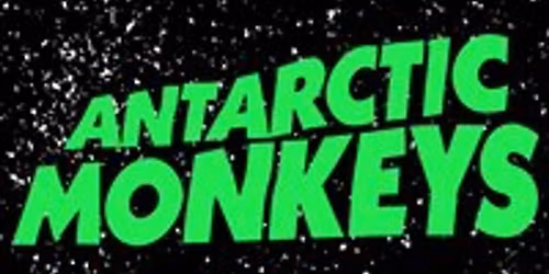 Antarctic Monkeys - The UKs No1. Arctic Monkeys Tribute Band