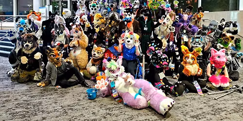 Kumo Furry Meet n Greet