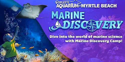 Marine Discovery Camp at Ripley's Aquarium of Myrtle Beach
