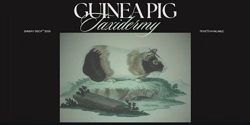 Guinea Pig Taxidermy Workshop