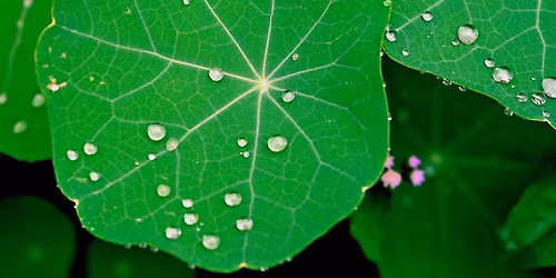 Holding Without Carrying - A Women's Workshop