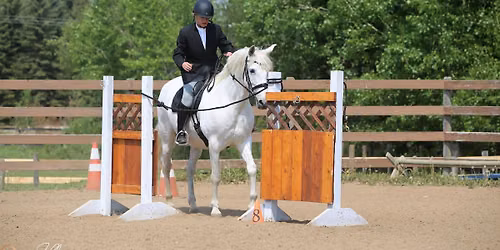 Working Equitation with Sandra Sanche