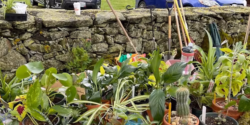 Special Farmers & Artisan Market 