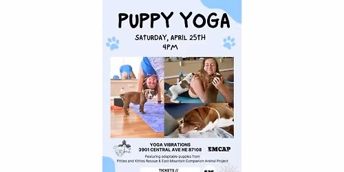 PUPPY YOGA x Yoga Vibrations