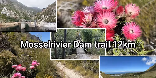 Mosselrivier Dam trail 12km