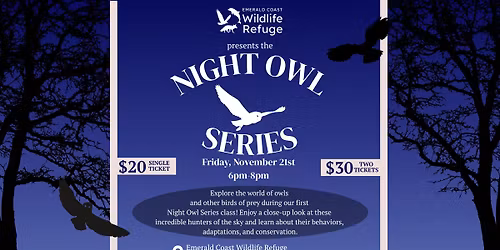 The Night Owl Series