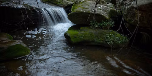 Off The Beaten Track - Guided Mueller Walk