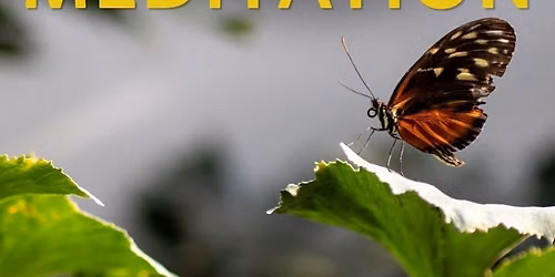Butterfly House Meditation