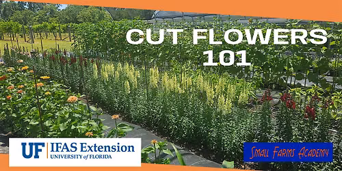 Cut Flowers 101: Small Farms Academy