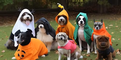 Howloween Costume Contest and Parade