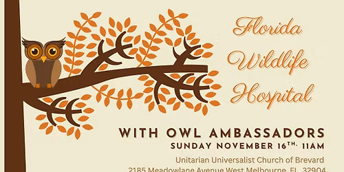 Florida Wildlife Hospital - with Owl Ambassadors