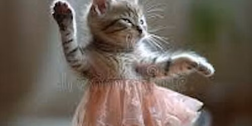 Pas De Chat Adult Ballet Class-With Cats!