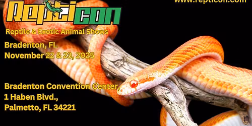 Repticon Bradenton
