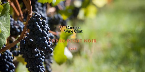 Top 10 Pinot Noir - Queenstown